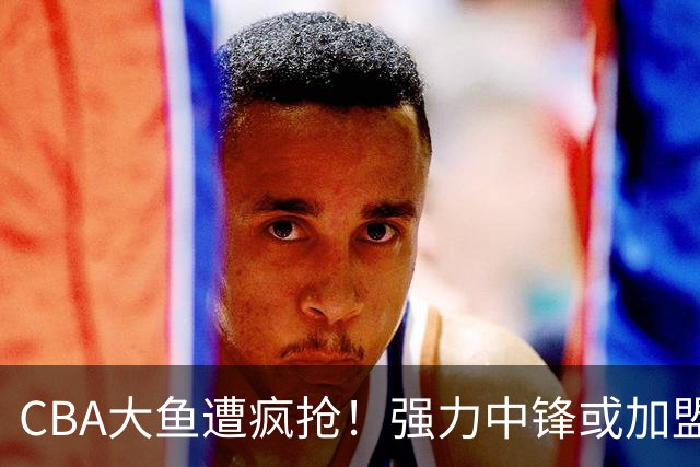 CBA大鱼遭疯抢！强力中锋或加盟广东，杜锋这下偷着乐？